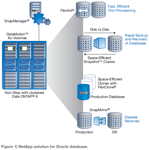 NetApp solution for Oracle database.